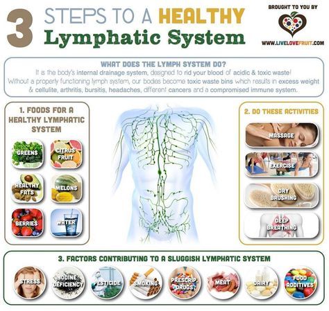 The lymphatic system has three functions: 1. Fluid Recovery; 2. Immunity, and; 3. Lipid absorption. It is the body’s internal drainage system which is designed to rid your blood of acidic and toxic waste (the lymph system filters these toxins into our body’s major detox organs, the liver and kidneys). The tonsils, adenoids, spleen, and thymus are all part of the lymphatic system, all connected by a web of lymphatic vessels which, in a sense, is like a second circulatory system of the body. Lymph Massage, Lymph System, Lymph Drainage, Slim Diet, Lymph Nodes, Circulatory System, Health Info, Massage Therapy, Holistic Health