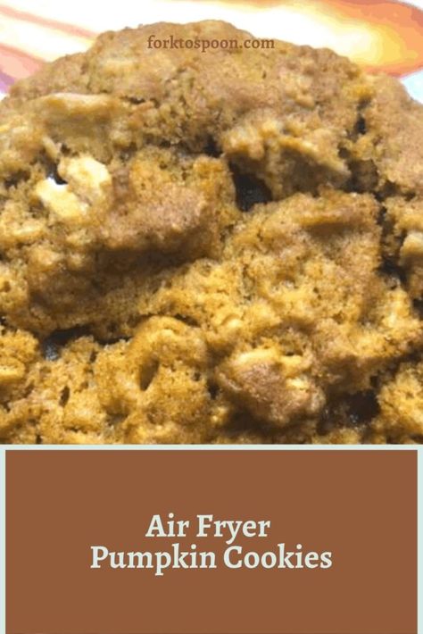 AIR FRYER PUMPKIN OATMEAL COOKIES Cookie Air Fryer, Cookies In Air Fryer, Air Fryer Pumpkin, All About Pumpkins, Pumpkin Hot Chocolate, Pumpkin Cravings, Pumpkin Oatmeal Cookies, Pumpkin Bread Pudding, Pumpkin Seed Recipes