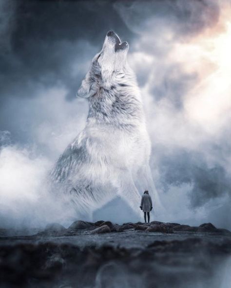 Magical Wolf, Creative Composition, Wolf Life, Creature Fantasy, Giant Animals, Wolves And Women, Wolf Images, Wolf Photography, Wolf Stuff