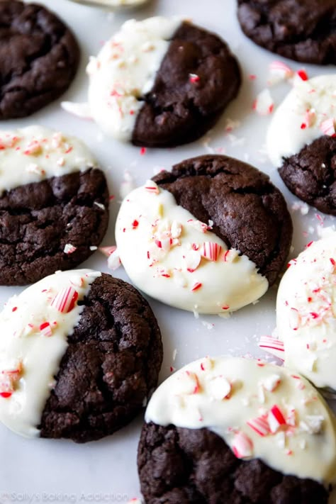 Peppermint Mocha Cookies - Sally's Baking Addiction Peppermint Mocha Cookies, Xmas Cookies Recipes, Peppermint Bark Cookie, Mocha Cookies, Chocolate Peppermint Cookies, Best Christmas Cookie Recipe, Delicious Christmas Cookies, Sally's Baking, Frozen Cookies