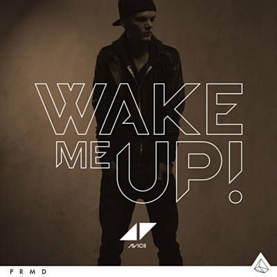 Wake Me Up - Avicii Avicii Wake Me Up, Dj Animation, Reggae Mix, Avicii Songs, Graduation Songs, Tim Bergling, Best Ringtones, House Mafia, Disco Funk