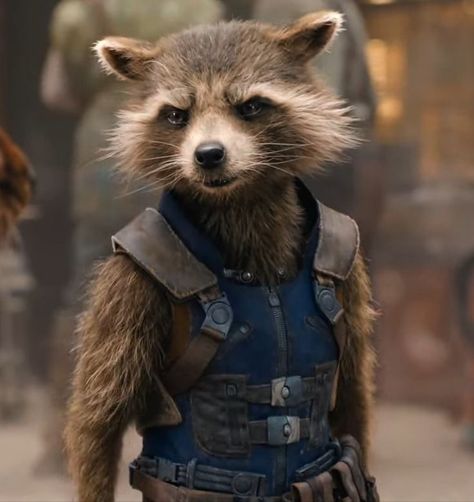 Cars Characters, Rocket Raccoon, Classic Cartoon Characters, Trash Panda, Mighty Morphin Power Rangers, Marvel X, Racoon, Classic Cartoons, Avengers Assemble