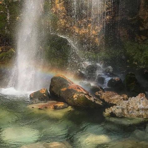 Green Water, A Rainbow, In The Middle, The Middle, Trees, Rainbow, Water, Green