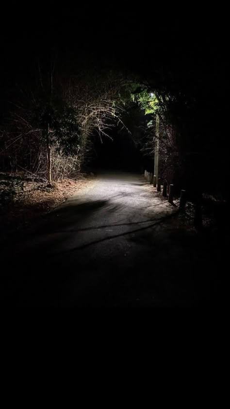 Scary Woods, Walking Pictures, Midnight Walk, Tesla Quotes, Dark Outside, Under Bridge, Night Walks, Urban Lighting, Night Forest