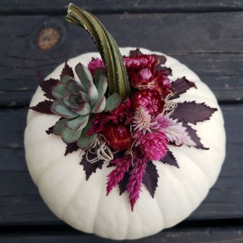 Pumpkin Floral Arrangements, Chinoiserie Pumpkins, Succulent Pumpkin, Flower Business, Pumpkin Flower, Garden Club, Fall Party, Dried Flower Arrangements, Arte Floral