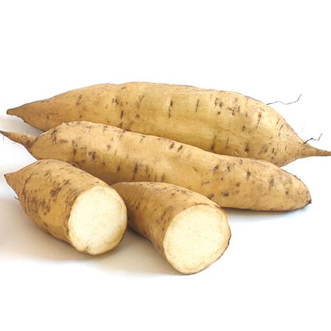 White Yam Yams Vs Sweet Potatoes, White Yam, Grow Sweet Potatoes, Sweet Potato Slips, Yam Or Sweet Potato, Growing Sweet Potatoes, Sistem Pencernaan, Garden Grove, Root Vegetables