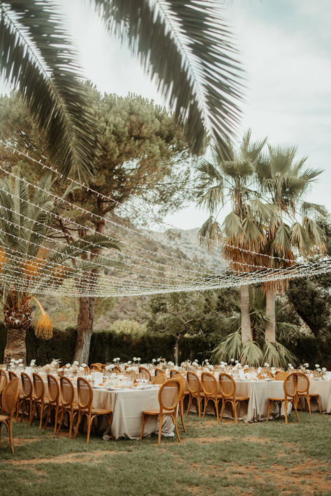 best mallorca wedding venue finca comassema Palma Wedding, Palm Tree Wedding, Naples Wedding, Mallorca Wedding, Oceanfront Wedding, Tulum Wedding, Luxury Wedding Venues, Tree Wedding, Mexico Wedding