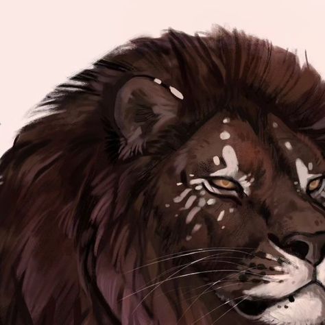 Lion Oc Art, Lion Fursona, Lion Character Design, Lion Oc, Lion Eyes, Golden Lions, Oc Drawings, Big Cats Art, Space Pirate