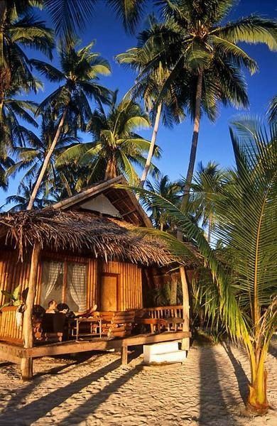 Beach Hut at Coral Cay Resort, Siquijor. Philippine Tourist Attractions Flickr Philippines Beaches, Bamboo House, Exotic Beaches, Surf Shack, Beach Shack, Spa Design, Beach Bungalows, Beach Cottage Style, Philippines Travel