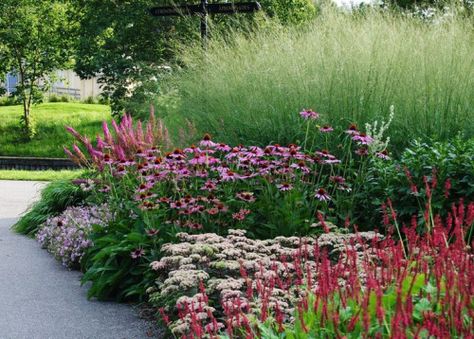 Landscape Focused: landscape, garden design ideas