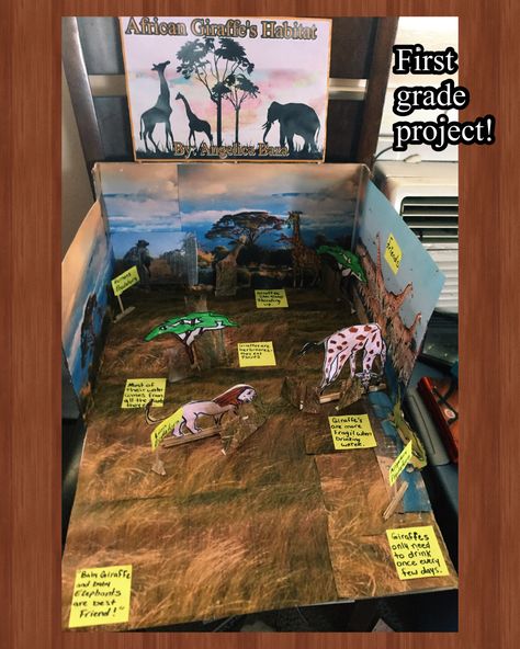 My daughters first grade Giraffes Habitat Giraffe Habitat, First Grade Projects, Habitat Project, Habitats Projects, African Giraffe, Project For Kids, Preschool Theme, My Daughters, Giraffes