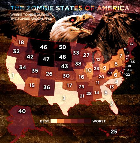 Zombie Plan, Zombie Apocolypse, Walking Dead Zombies, The Zombie Apocalypse, Zombie Attack, Doomsday Prepping, Dead Zombie, Apocalypse Survival, Zombie Survival