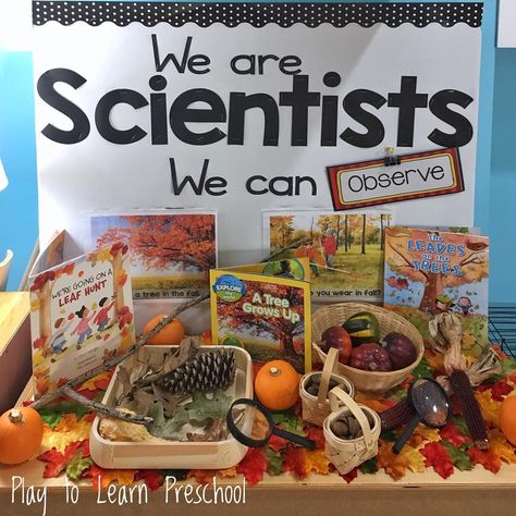 Science Areas For Preschool, Thanksgiving Science Center Preschool, Pre K Science Center Ideas, We Are Scientists Preschool, Prek Science Centers, Investigation Station, Science Center Preschool, Investigation Area, Pre-k Science