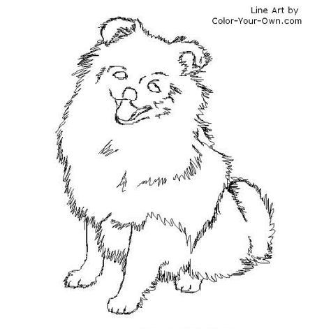 Pomeranian Line Art Dog Jacket Pattern Free, Chihuahua Coloring Pages, Black And White Line Drawings, Pomeranian Colors, Dog Jacket Patterns, Dog Onesies, Puppy Coloring Pages, Free Puppies, Dog Light