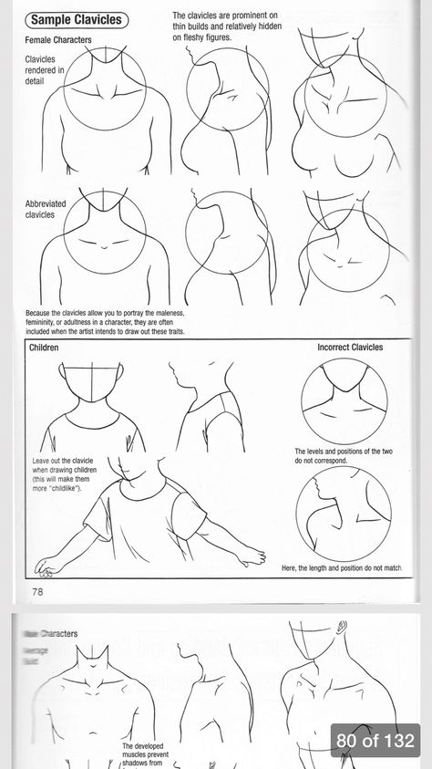 Drawing the collarbone Anime Body, Human Anatomy Drawing, Manga Drawing Tutorials, Human Figure Drawing, Body Reference Drawing, Draw Anime, Art Manga, Anatomy Drawing, Figure Drawing Reference