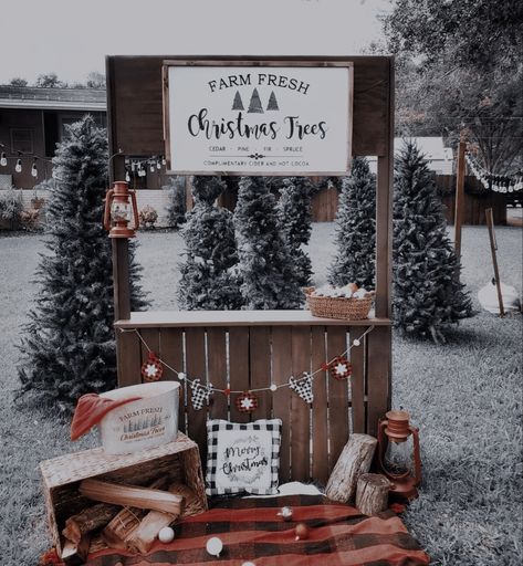 Christmas Tree Stand Photoshoot, Christmas Mini Photoshoot Outdoor, Christmas Mini Setup Outdoor, Outdoor Christmas Set Up Photography, Christmas Mini Sessions Indoor Setup, Christmas Photo Wall Backdrop Ideas, Christmas Stand Ideas, Photo Set Up Ideas, Outdoor Photo Studio