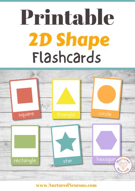 Want to help your teach shapes to your children? Then why not print off these colorful printable 2D shape flashcards? These printable 2D shapes cards are great for preschool and kindergarten as there's 18 of the most common 2D shapes. So grab them today over at Nurtured Neurons! #shapes #learningshapes #shapeflashcards #freeflashcards #printableflashcards #preschoolprintables Flashcards For Kindergarten, Shape Activities Preschool, Shapes Flashcards, Color Flashcards, Teaching Shapes, Printable Shapes, Free Printable Flash Cards, Shapes Preschool, Shapes For Kids