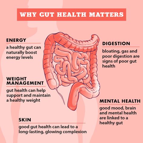 Why your gut health matters 👍👍👍👍👍👍👍👍👍👍👍 Your gut does a lot more than digest food. ... Poor Digestion, Improve Gut Health, Gut Bacteria, Brain Fog, Healthy Digestion, Glowing Complexion, Healthy Gut, Health Matters, Energy Level