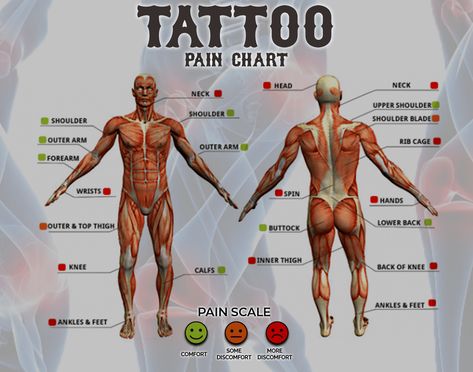 Sensitive Tattoo, Most Painful Tattoo Areas, Tattoo Areas, Beloved Tattoo, Most Painful Tattoo, Places For Tattoos, Pain Scale, Numbing Cream, Thick Skin