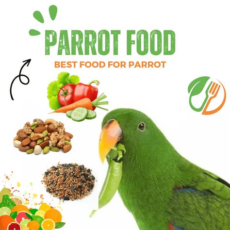 Edamame Snack, Parrot Diet, Parrot Food, Food And Nutrition, Food Pyramid, Diet Food, Edamame, Colorful Birds, In The Wild