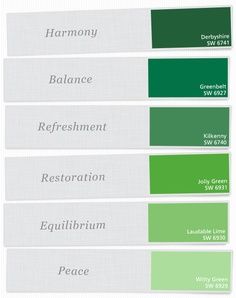 Green paint samples- Sherwin Williams Paint Sherwin Williams Green Paint Colors 2024, Bright Green Paint, Green Front Door, Sherwin Williams Green, Office Green, Green Front Doors, Chevron Wall, Green Chevron, Bathroom Paint Colors