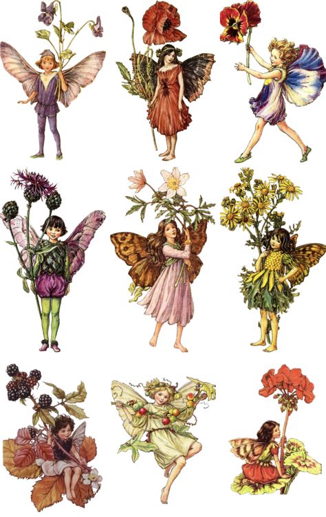 Forest Fairy Tattoo, Flower Fairies Books, Fairy Books, Forest Mural, Fairy Drawings, Cicely Mary Barker, Fairy Tattoo, Art Folder, Fairy Figurines