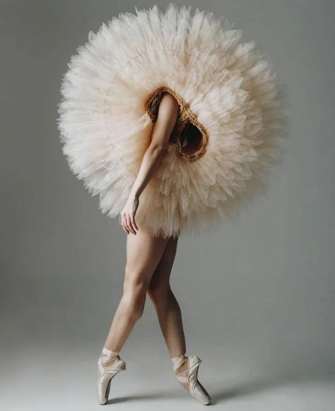 Balletcore Editorial, Ballerina Photoshoot, Aesthetic Project, Swan Lake, Fashion Editorial, Ballerinas, Editorial Fashion, Editorial, Ballet