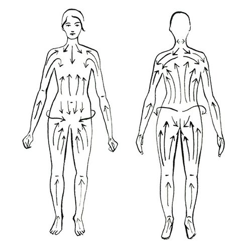 How to dry brush: diagram (always towards the heart. Do it in the shower before turning the water on. Dry Brush. Shower. Add moisturizer) Dry Brushing Map, Benefits Of Dry Brushing, Dry Brushing Skin, Lymph Massage, Lymph System, Lymph Drainage, Dry Body Brushing, Skin Brushing, Skin Detox