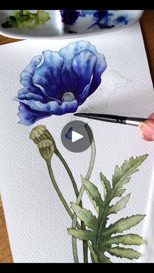 Artistic Envelopes, Blue Poppy Flower, 2024 Watercolor, Poppy Watercolor, Watercolor Beginner, Watercolor Poppies, Watercolor Tutorials, Diy Watercolor Painting, Watercolor Pictures