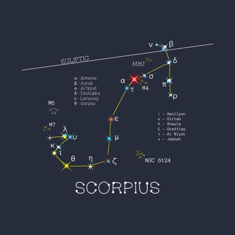 Scorpius Constellation, Scorpio Constellation, Astronomy Constellations, Family Black, Astronomy Art, Planetary Science, Constellation Tattoos, Star Constellations, Class Notes