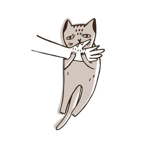 Cat Being Picked Up Drawing, Cat Biting Drawing, Cat Bites Hand, Cat Biting, Packaging Design Trends, Chibi Cat, Cat Doodle, Angry Cat, Hand Drawn Vector Illustrations