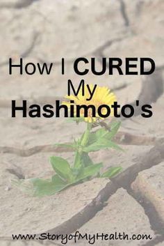 How I CURED My Hashimoto's Disease Thyroid Healthy Foods, Hashimotos Disease Diet, Thyroid Remedies, Thyroid Healing, Hashimotos Disease, Thyroid Issues, Auto Immune, Thyroid Health, Adrenal Fatigue