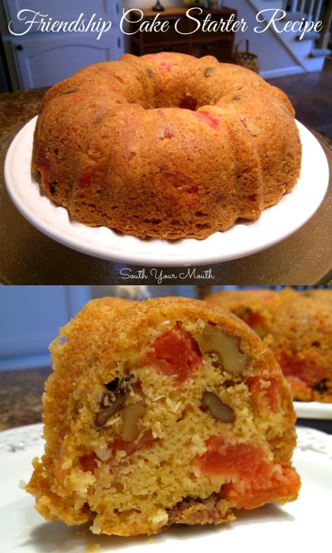 30 Day Cake Starter Recipe, Southyourmouth Recipes, Fruit Cake Starter, 30 Day Friendship Cake Recipe, Amish Friendship Cake, Blended Oatmeal, Brandied Fruit, Recipe For Friendship, Amish Friendship Bread Starter Recipes