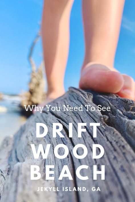 Driftwood Beach - Jekyll Island: A Hidden Georgia Gem | Finding Mandee Driftwood Beach Jekyll Island, Driftwood Beach, Jekyll Island, Secret Beach, Hauntingly Beautiful, Road Trippin, Family Adventure, Atlantic Ocean, Us Travel