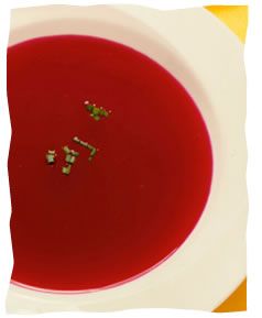 Beet Borsht - Traditional Passover Foods - Kosher Recipe Soft Diet, Soft Foods Diet, Kosher Food, Hum Nutrition, Jewish Food, Soft Foods, Passover Recipes, Soft Food, Kosher Recipes