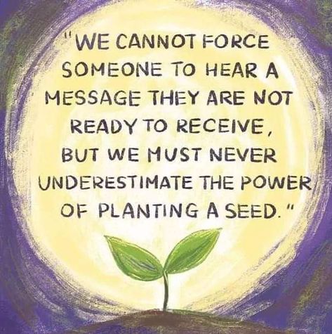 We cannot force someone to hear a message they are not ready to receive. But we must never underestimate the power of planting a seed. Robert Kiyosaki, Not Ready, Quotable Quotes, A Quote, Good Thoughts, Good Advice, The Words, Great Quotes, Wisdom Quotes