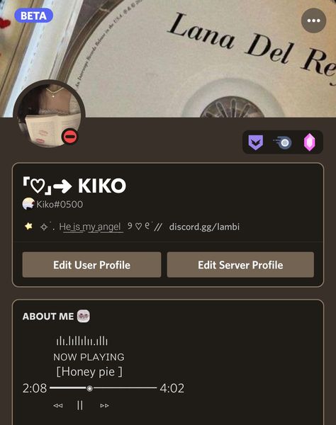 Discord Server Roles Ideas, Aesthetic Names For Instagram, Discord Layout, Lana Del Re, Funny Bio, Name For Instagram, Aesthetic Names, Discord Emotes, Y2k Wallpaper