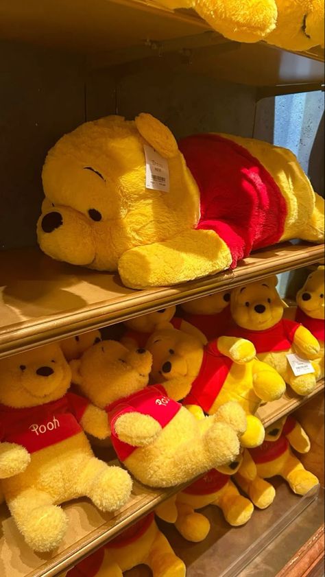 Winnie The Pooh Plushies, Winnie The Pooh Stuff, Winnie The Pooh Stuffed Animal, Disney Plushies, Disney Room Decor, Disney Cuties, Winnie The Pooh Plush, Cute Winnie The Pooh, Cute Funny Pics