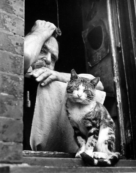 hauntedbystorytelling: “Leon Levinstein :: Untitled, 1954 / src: howardgreenberg more [+] this photographer ” Get Off My Lawn, Giant Fish, Berenice Abbott, Cat Meeting, Gordon Parks, History Of Photography, Cat People, Contemporary Photography, Vintage Cat