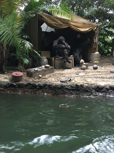 Love this part!!! (Jungle cruise ride) Jungle Explorer Aesthetic, Jungle Cruise Ride, Explorer Aesthetic, Jungle Explorer, Vintage Explorer, Jungle Aesthetic, Jungle Cruise, Sea Aesthetic, Tiki Bar Decor