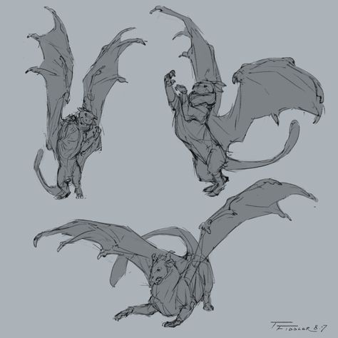 Dragon pose sketches Wyvern Poses, Dragon Sitting Reference, Dragon Poses Reference, Dragon Reference Pose, Dragon Tutorial, Horns Reference Dragon, Dragon Flying Reference, Snarling Dragon Reference, Dragon Drawing Sleeping