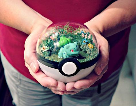 Pokemon terrarium Diy Geek, Pokemon Terrarium, Pokemon Room, Boys Diy, Geek Diy, Pokemon Diy, Pokemon Ball, Nerd Crafts, Pokemon Craft