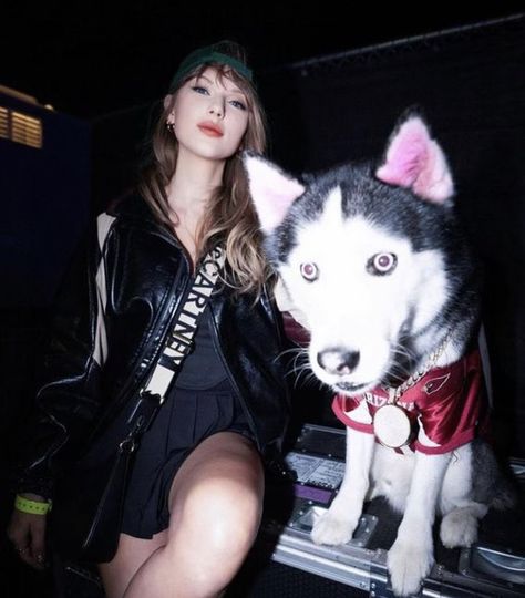 taylor swift at coachella with a dog 2024 Taylor Swift With Dogs, Pop Girlies, King Of My Heart, A Dog, Taylor Swift, Swift, Dogs, Pins, Quick Saves