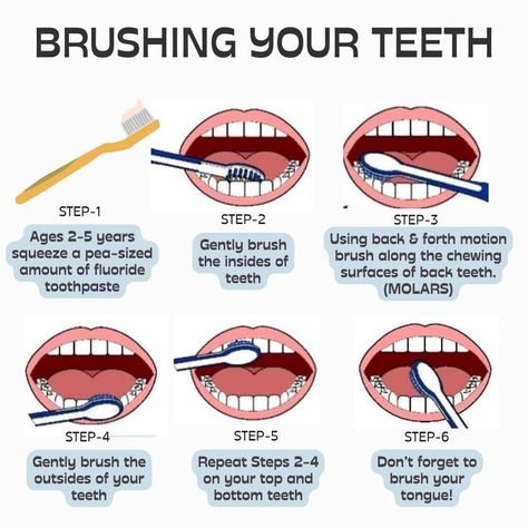 dental care Brushing Teeth Schedule, How To Properly Brush Your Teeth, How To Brush Teeth Properly, How To Brush Your Teeth, Face Lock, Dental Health Week, Teeth Tips, Hygiene Hacks, Routine School