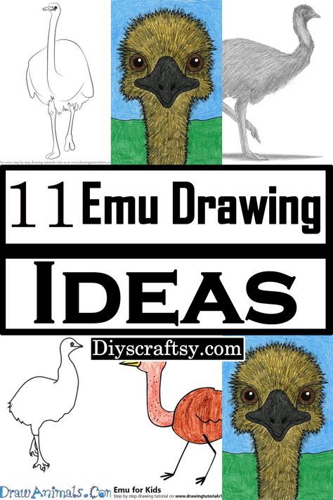 Emu Drawing, Crafts With Paper, Best Drawing Ideas, Drawing Guides, Unique Drawings, Best Drawing, Guided Drawing, Drawing Cartoon, Step By Step Drawing