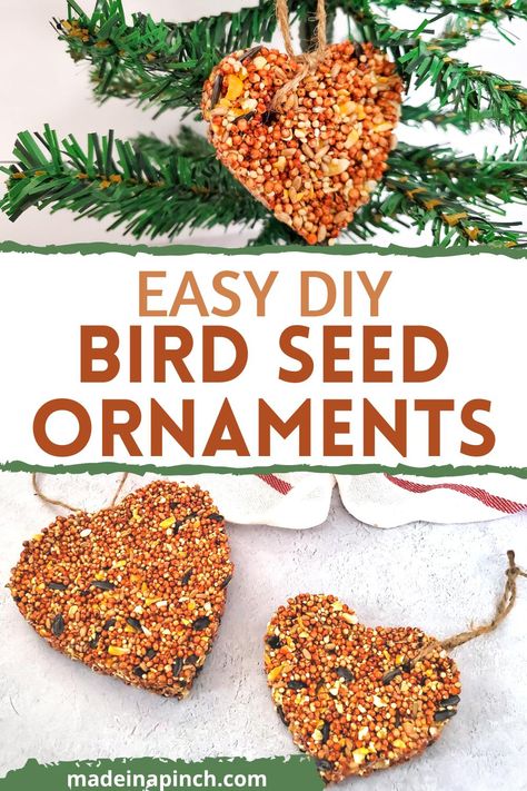 These homemade bird seed ornaments are perfect for nature lovers of all ages. Not only is it easy to do, but it also provides a great way to observe birds in their habitat. Get the kids involved as a craft activity and a way to watch wildlife in their very own backyard! Plus, DIY bird seed ornaments make great DIY gift ideas for new neighbors or friends and family that love bird watching! Diy Bird Seed Ornaments, Homemade Bird Seed, Diy Bird Seed, Bird Seed Ornaments Recipe, Homemade Hummingbird Food, Seed Ornaments, Family Meals Kid Friendly, Seed Craft, Kids Church Activities