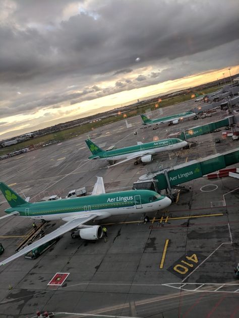 The next batch of Aer Lingus Airbus A320 getting ready at Dublin Airport Terminal 2. Air Arabia, Glasgow Airport, Aer Lingus, Miami International Airport, Dublin Airport, All Airlines, Dream Jobs, Airport Terminal, International Airlines