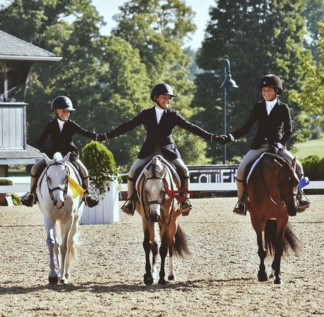 Hunter Jumper Aesthetic, Pony Finals, Equestrian Friends, Preppy Equestrian, Equestrian Pictures, Hunter Jumper Horses, Barn Layout, Hunter Horse, Horsey Life