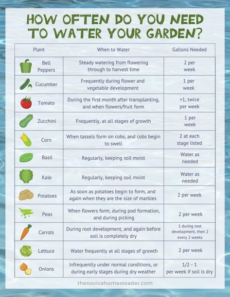 Small Beginner Garden Layout, Garden Watering Schedule, Medicinal Gardening, Water Garden Plants, When To Plant Vegetables, Vegetable Garden Planner, Vegetable Garden Planning, Vegetable Garden For Beginners, Homestead Gardens