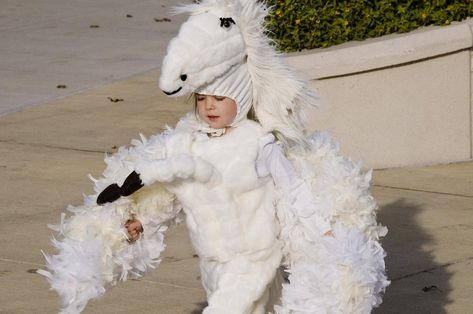 Pegasus and Griffin Costumes | Sweet Juniper WoodCraft Pegasus Costume, Wood Writing, The Favorite, Favorite Holiday, The Whole, Wood Crafts, Fur Coat, Writing, Halloween